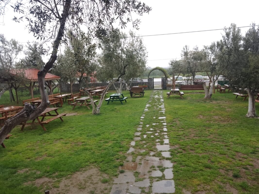 WhatsApp Image 2025-04-01 at 09.22.39 (1)